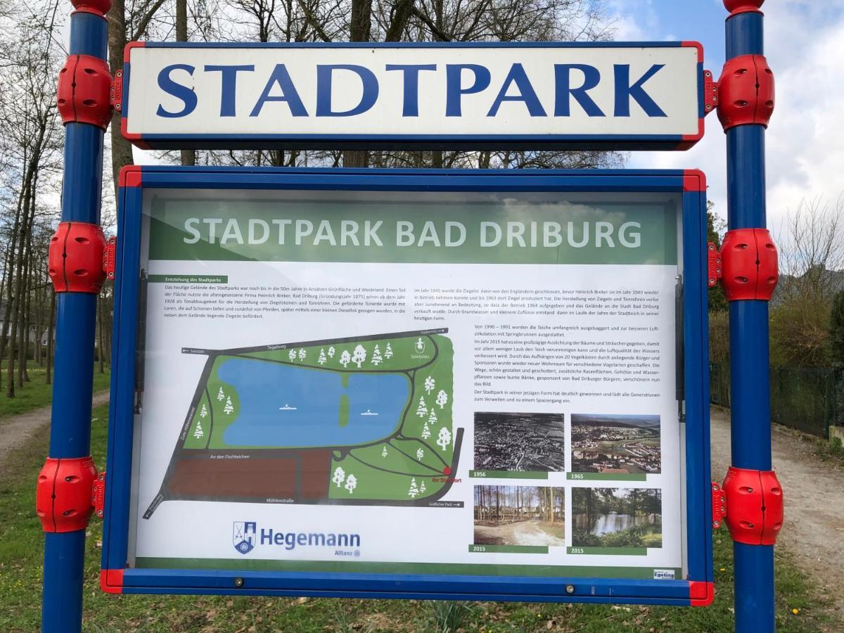 Exklusives Wohnen Am Stadtpark Bad Driburg Kültér fotó