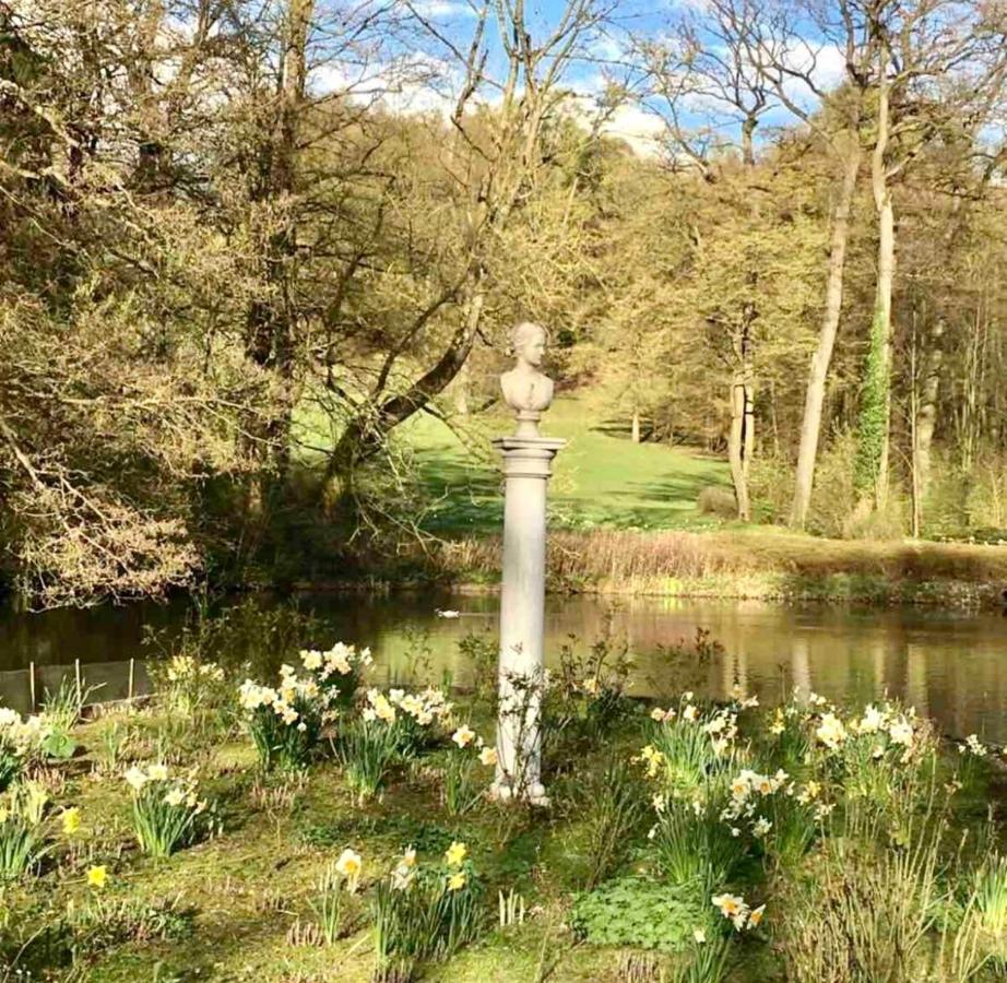 Exklusives Wohnen Am Stadtpark Bad Driburg Kültér fotó